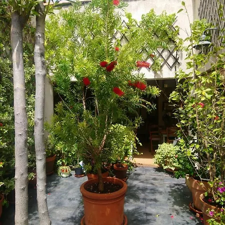 Les Chambres D'hotes De Magali Bed & Breakfast 3*